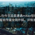 神秘人在今日凌晨遭遇mitao惊艳全场，蜜桃传媒全网炸锅，详情发现