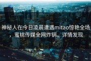 神秘人在今日凌晨遭遇mitao惊艳全场，蜜桃传媒全网炸锅，详情发现